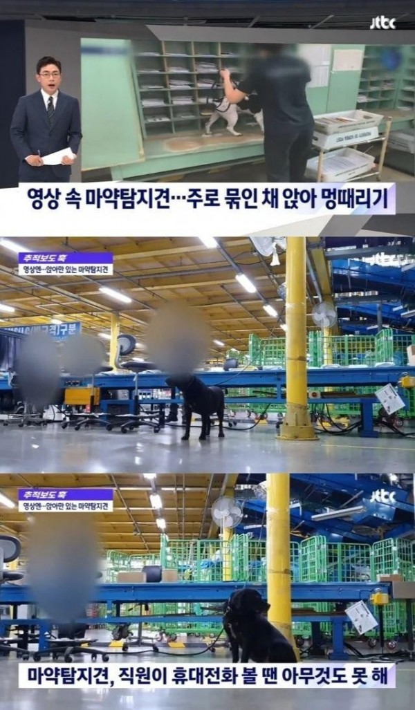 숨어있던 신의 직장 발견4.jpg