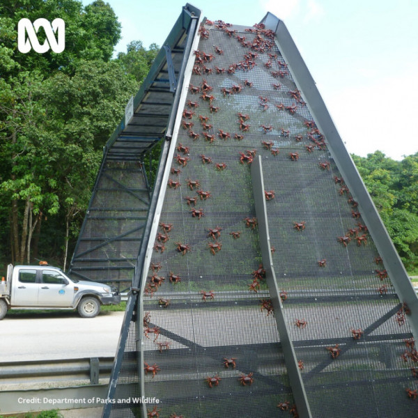 cf105166fd40838a96a5c6ee86cad23a_1636744890_479.jpeg