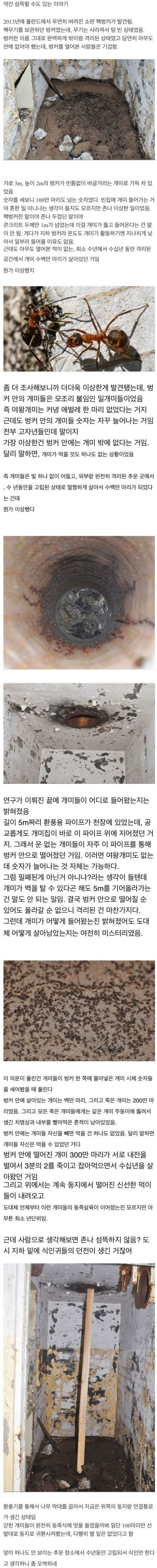 오싹한 동족 포식.jpg