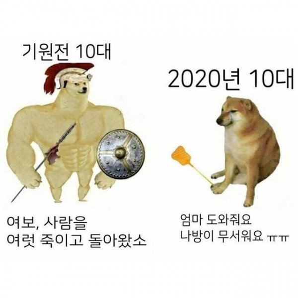 eb370c08fc462b76705bf220c033bdbb_1637079936_6922.jpeg
