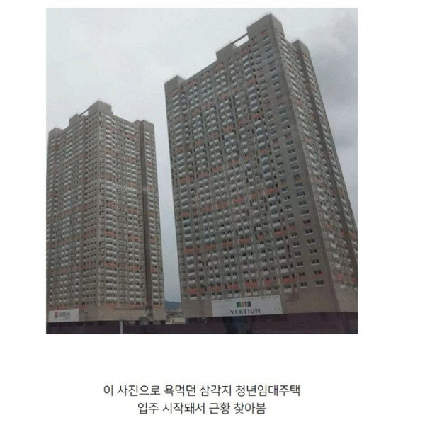 닭장이라 욕먹던 청년임대주택 근황2.jpg